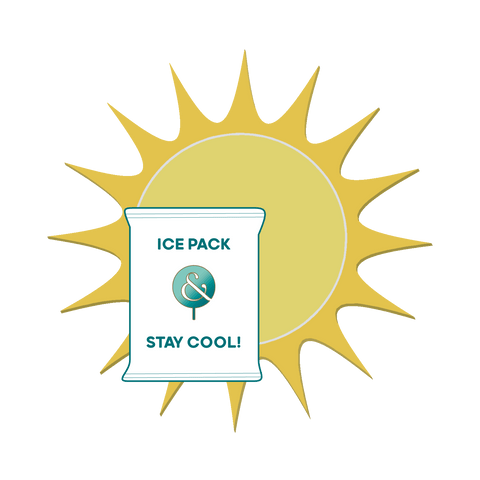 Lolli and Pops Warm Weather Temperature Controlled Pack